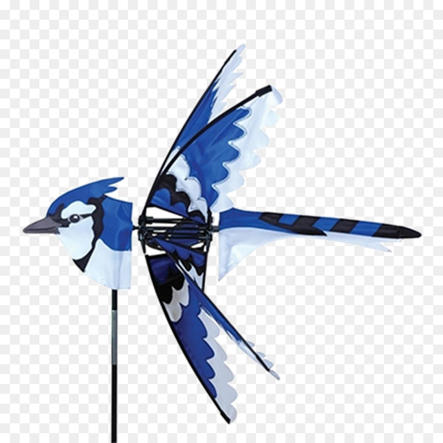 Blue Jay，Hummingbird PNG