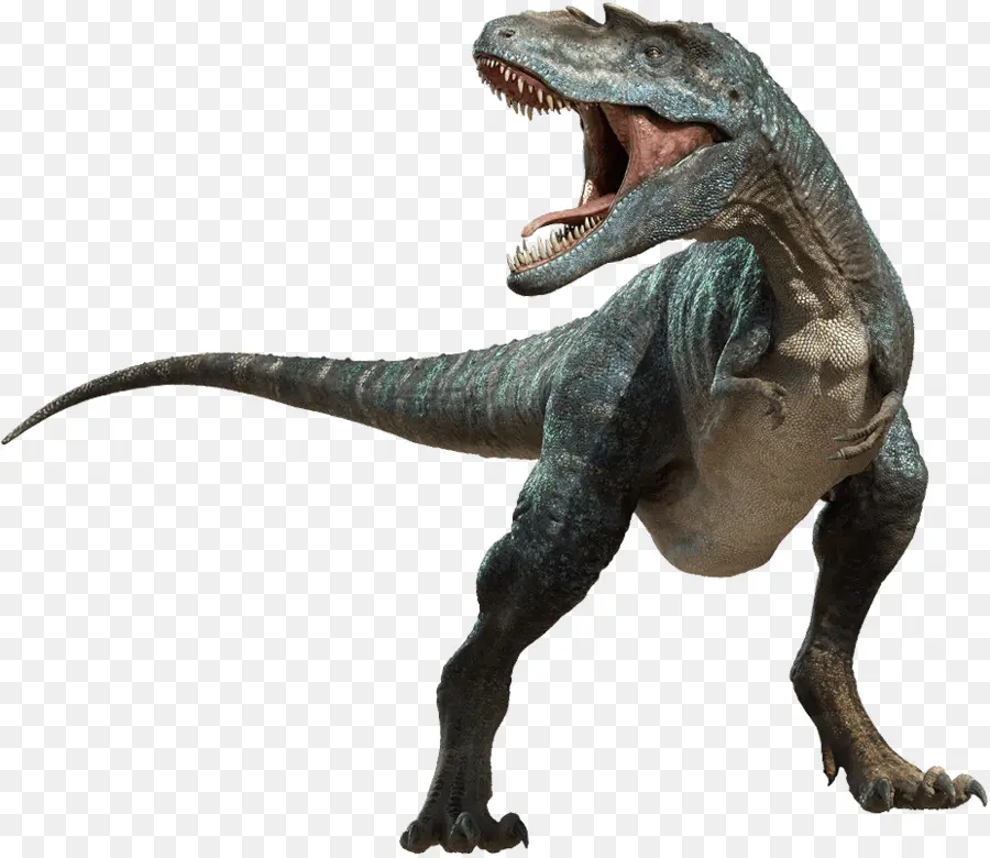 Tyrannosaurus，Dinosaurus PNG