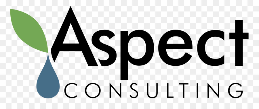 Aspek Consulting Llc，Teknik PNG