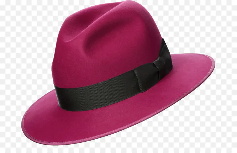 Topi，Fedora PNG