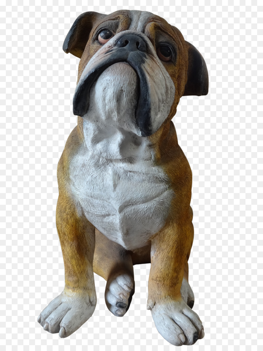 Buldog，Anjing PNG