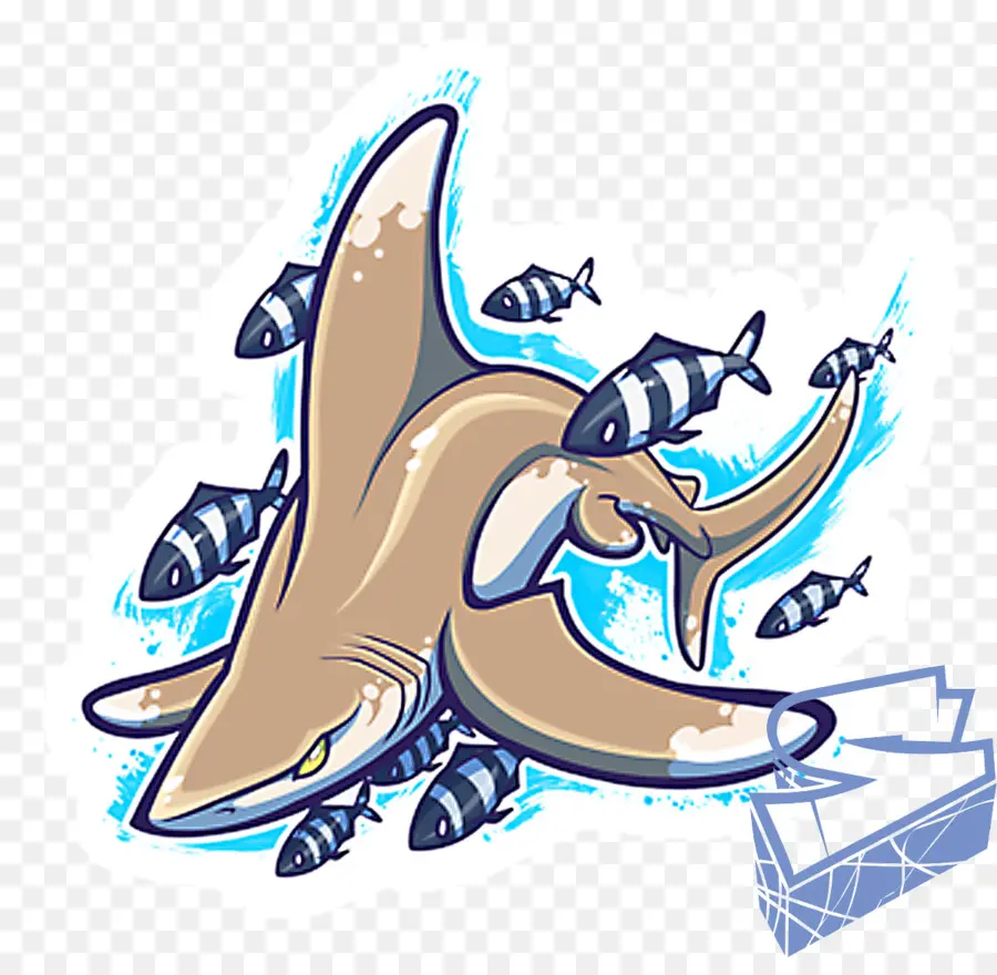 Hiu，Ikan PNG