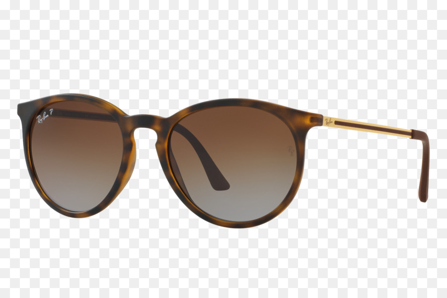 Rayban，Rayban Erika Klasik PNG