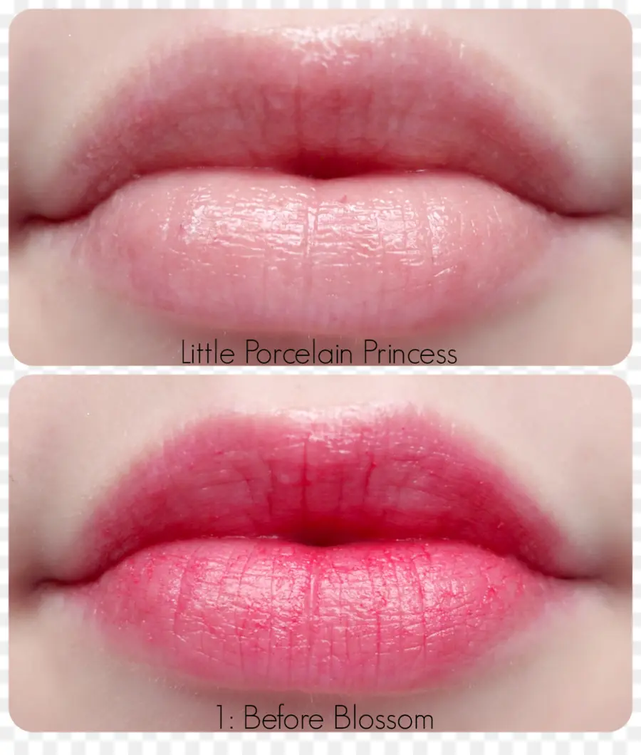 Bibir，Lipstik PNG