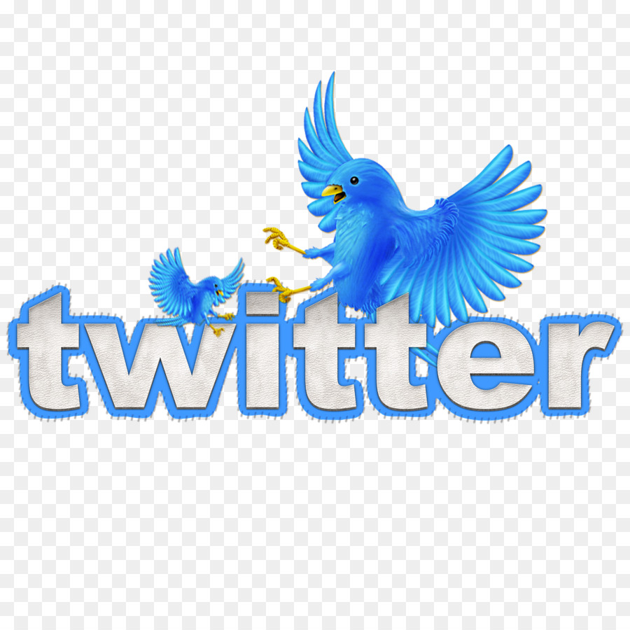 Logo Twitter，Media Sosial PNG