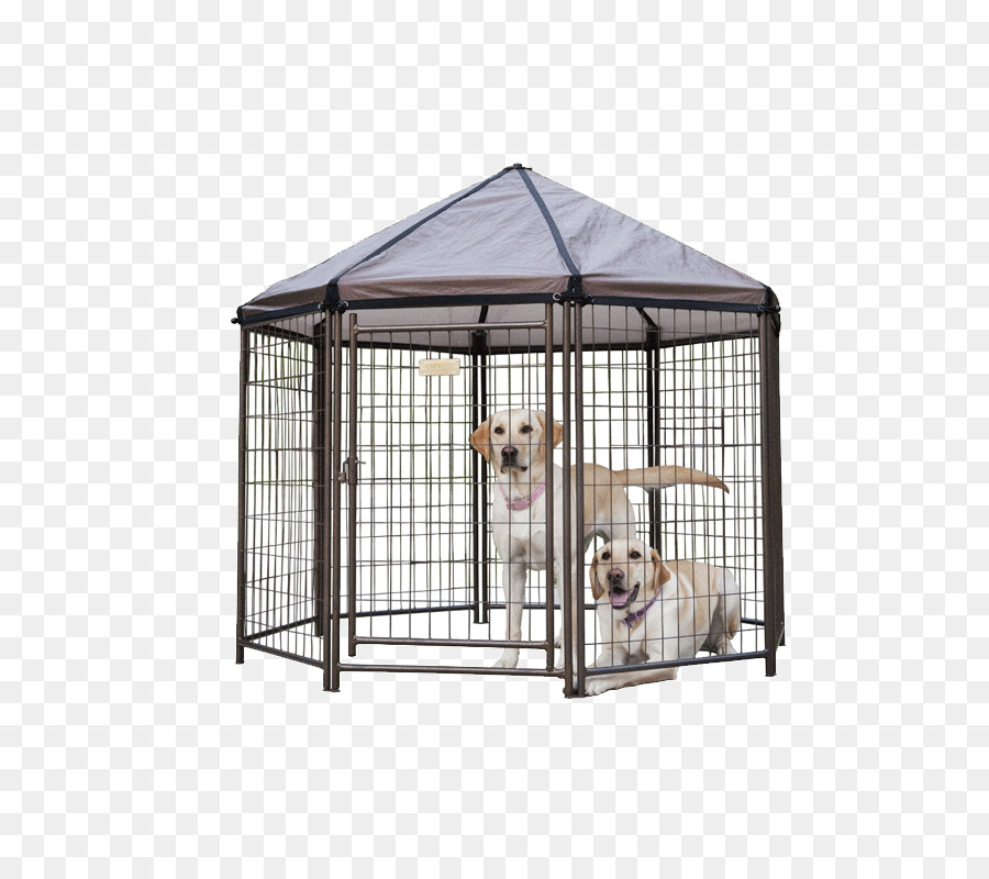 Kennel，Anjing PNG