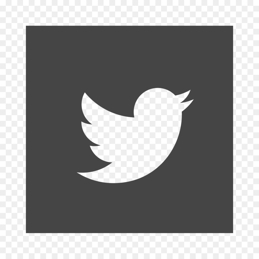 Logo Twitter，Media Sosial PNG