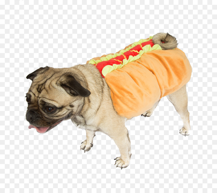 Anjing Dengan Kostum Hotdog，Anjing PNG