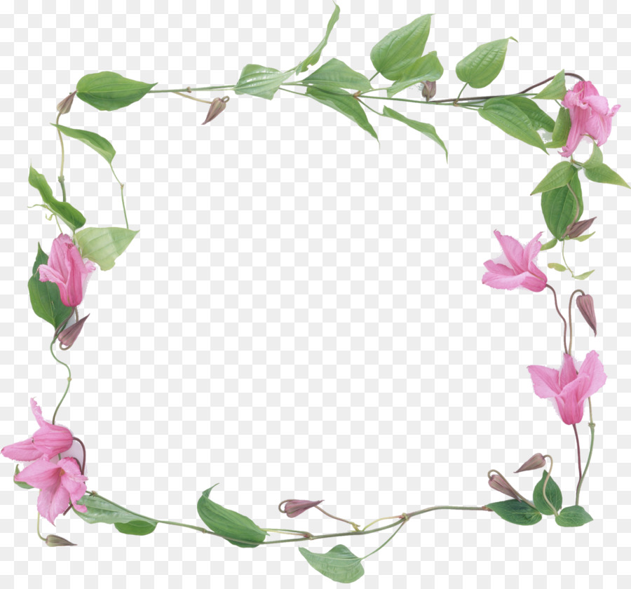 Gambar Bingkai Bunga Sederhana  GAMBAR BUNGA 