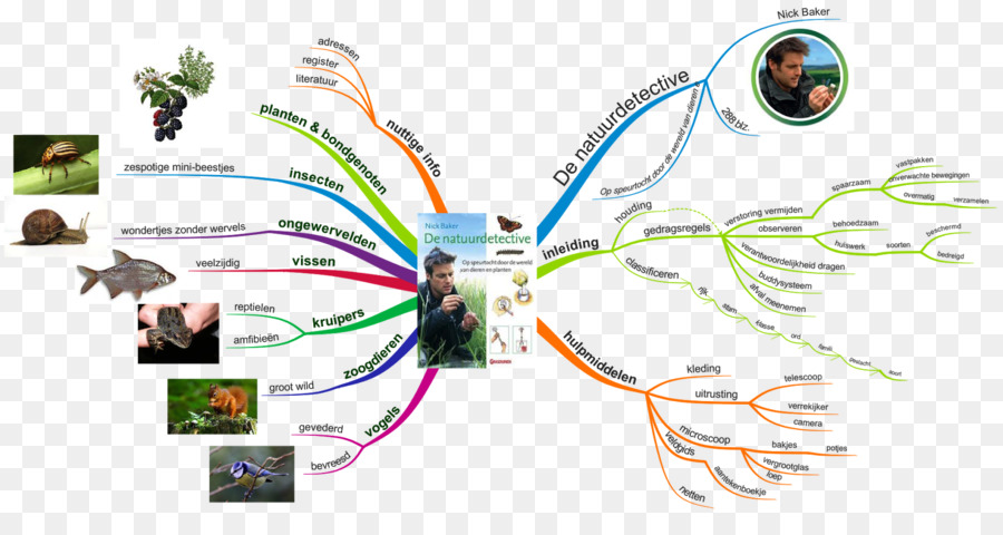 Peta Pikiran，Buzan Ini Imindmap PNG