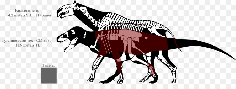 Kerangka Dinosaurus，Fosil PNG