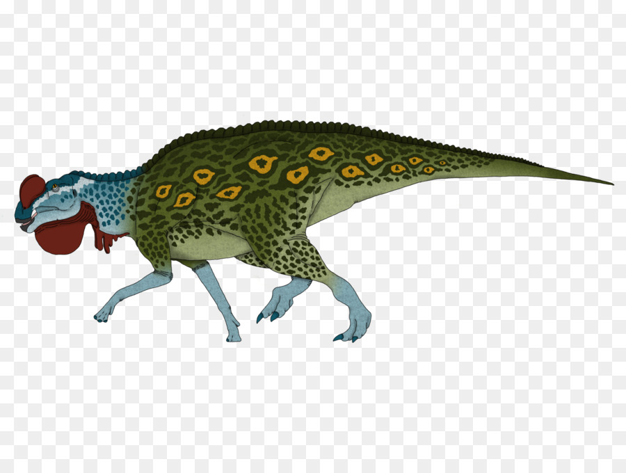 Austroraptor，Tyrannosaurus PNG
