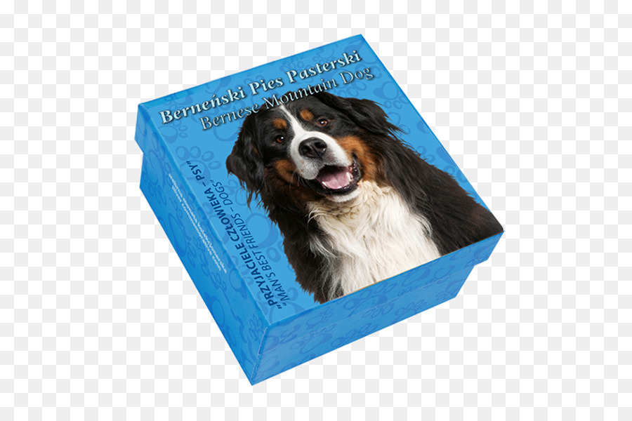 Anjing Berkembang Biak，Bernese Mountain Dog PNG