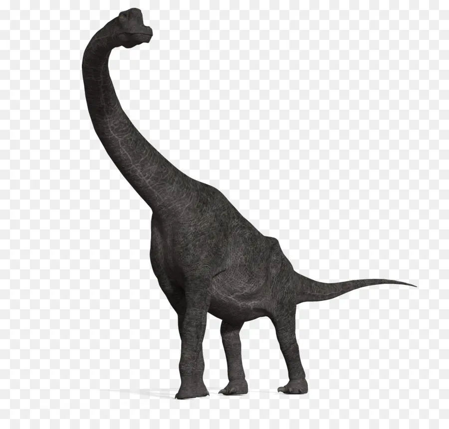 Dinosaurus，Prasejarah PNG