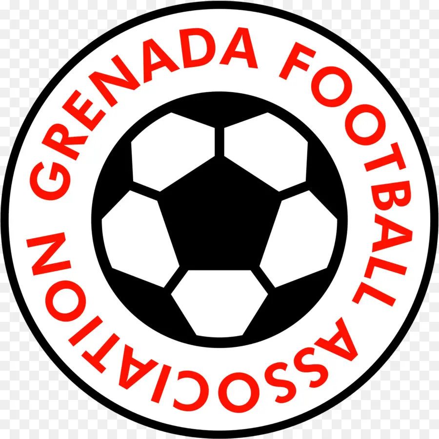Asosiasi Sepak Bola Zimbabwe，Kamerun Tim Nasional Sepak Bola PNG