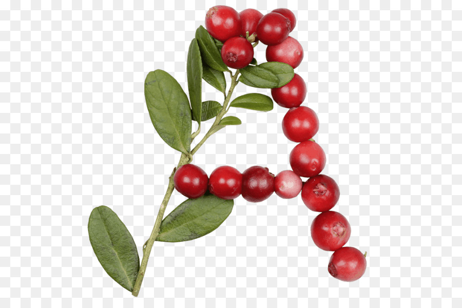 Lingonberry，Surat PNG