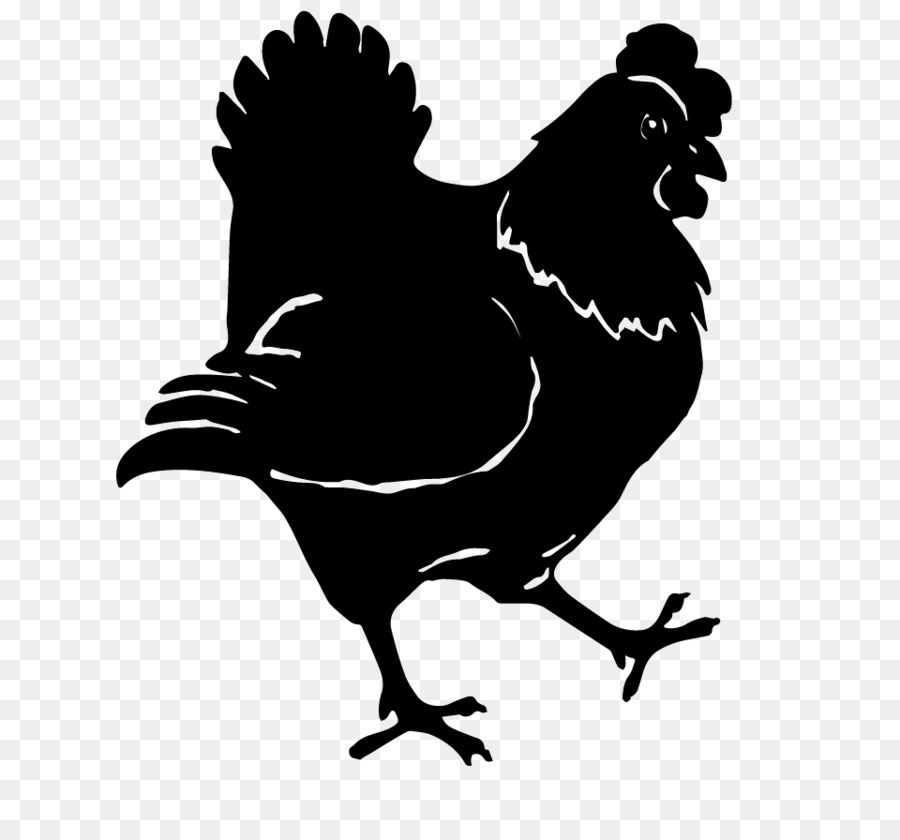 Ayam, Taman, Ayam Petelur gambar png