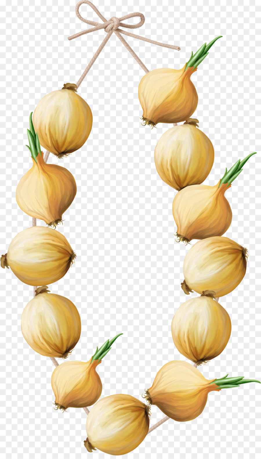 Bawang Bawang，Sayur Mayur PNG