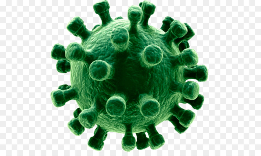 Paling Keren 13 Gambar Virus Influenza  Sugriwa Gambar 