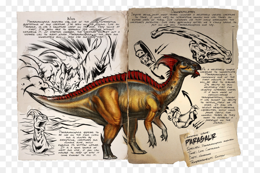 Dinosaurus，Sketsa PNG