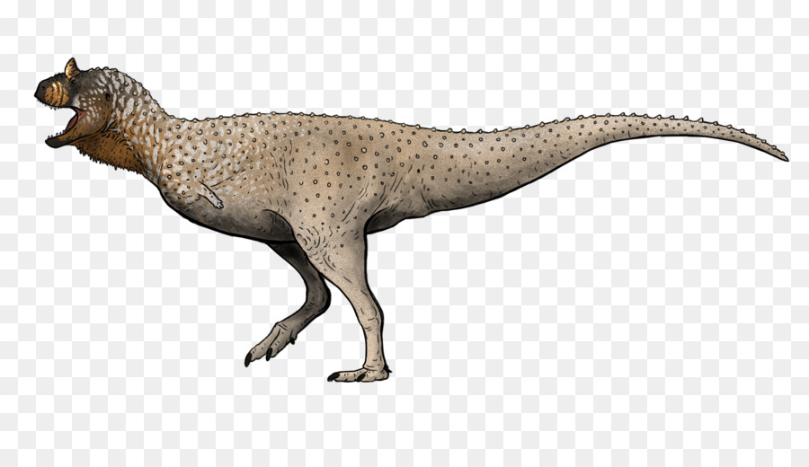 Dinosaurus，Prasejarah PNG