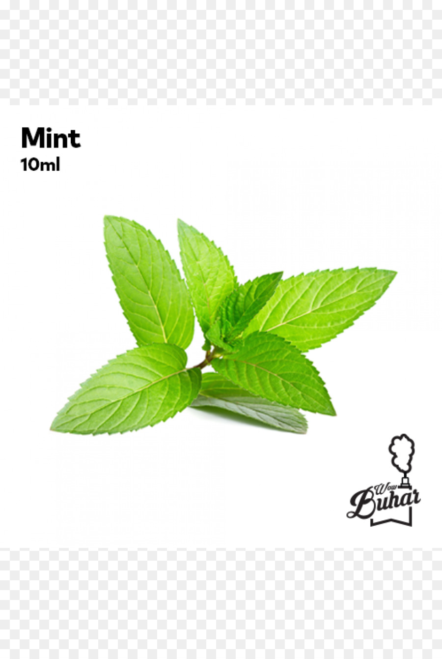 Daun Mint，Herba PNG