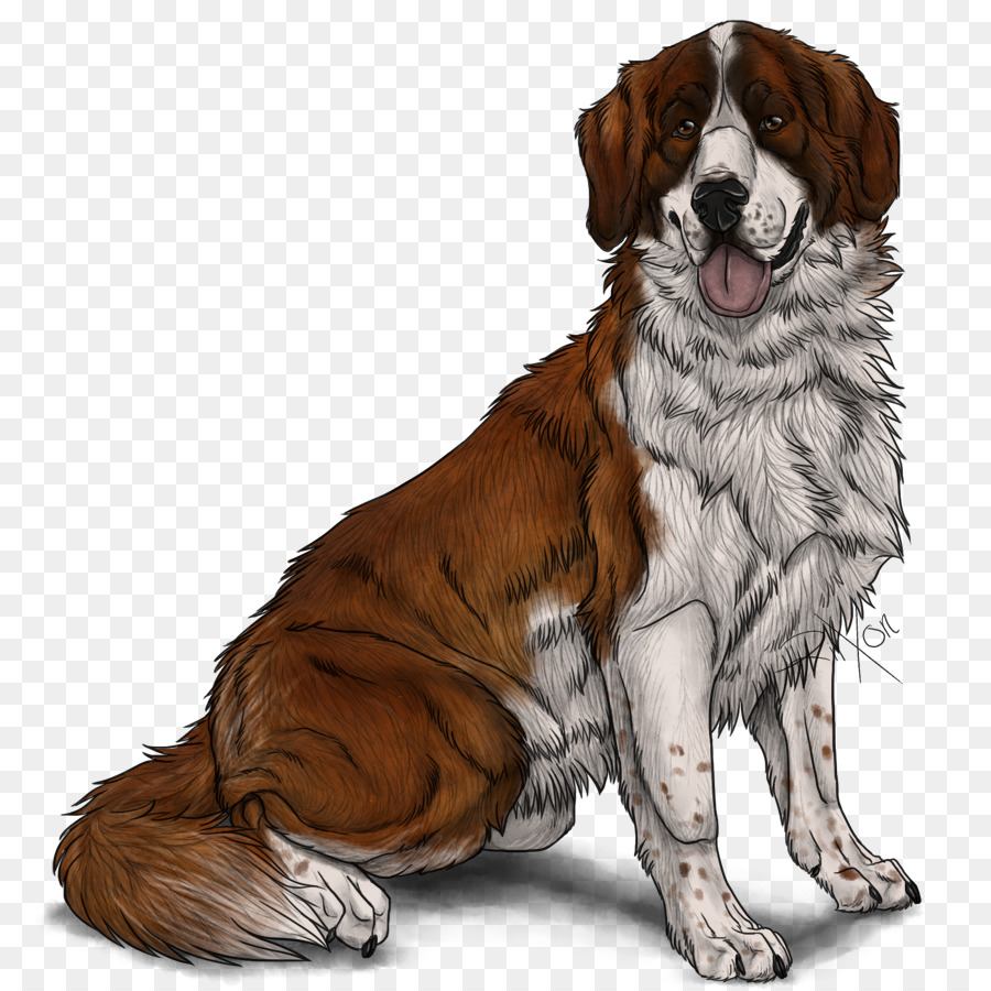 Nova Scotia Bebek Berdentang Retriever，St Bernard PNG