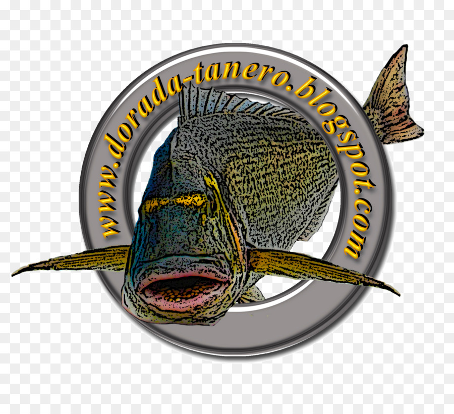 Logo Ikan，Situs Web PNG