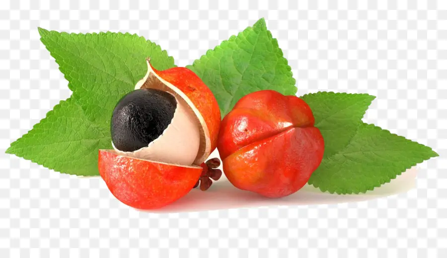 Guarana，Buah PNG