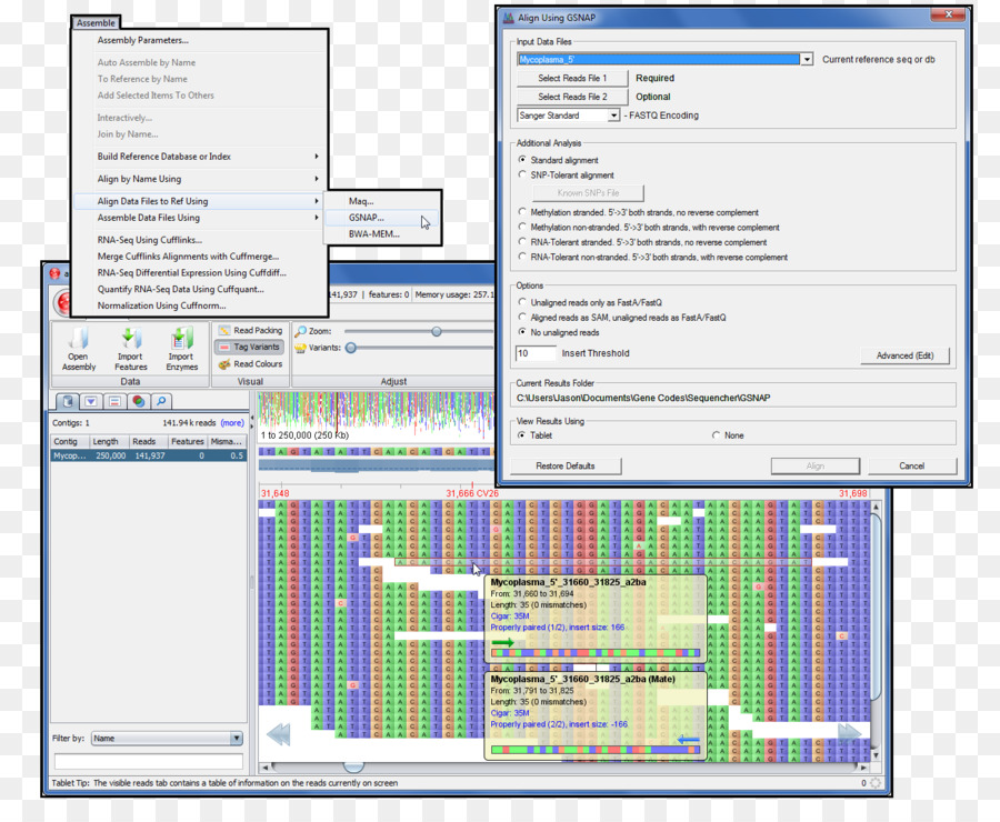 Sequencing Paralel Besar，Sequencing Dna PNG