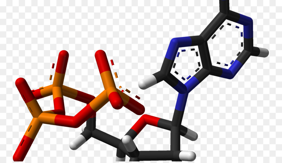 Adenosin Trifosfat，Adenosin PNG