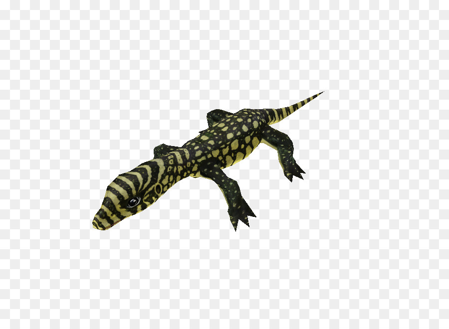 Heloderma，Zoo Tycoon 2 PNG