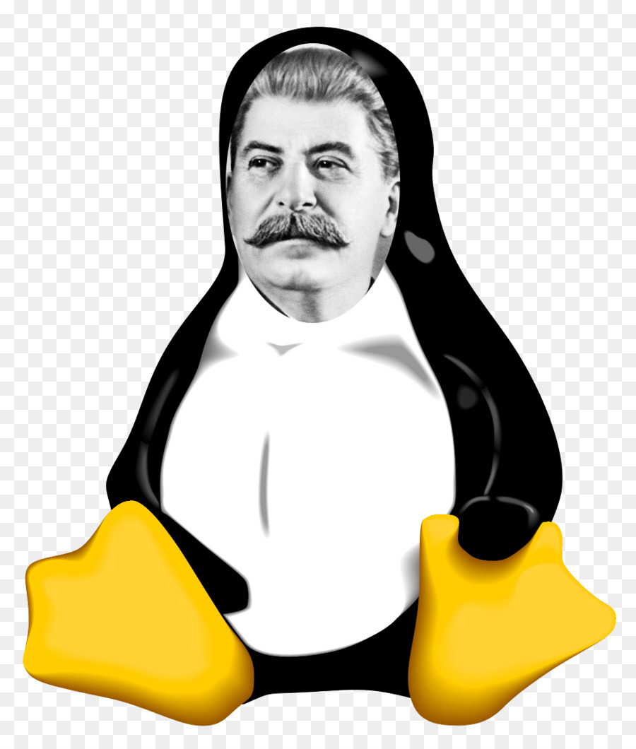 Penguin Dengan Wajah Manusia，Kartun PNG