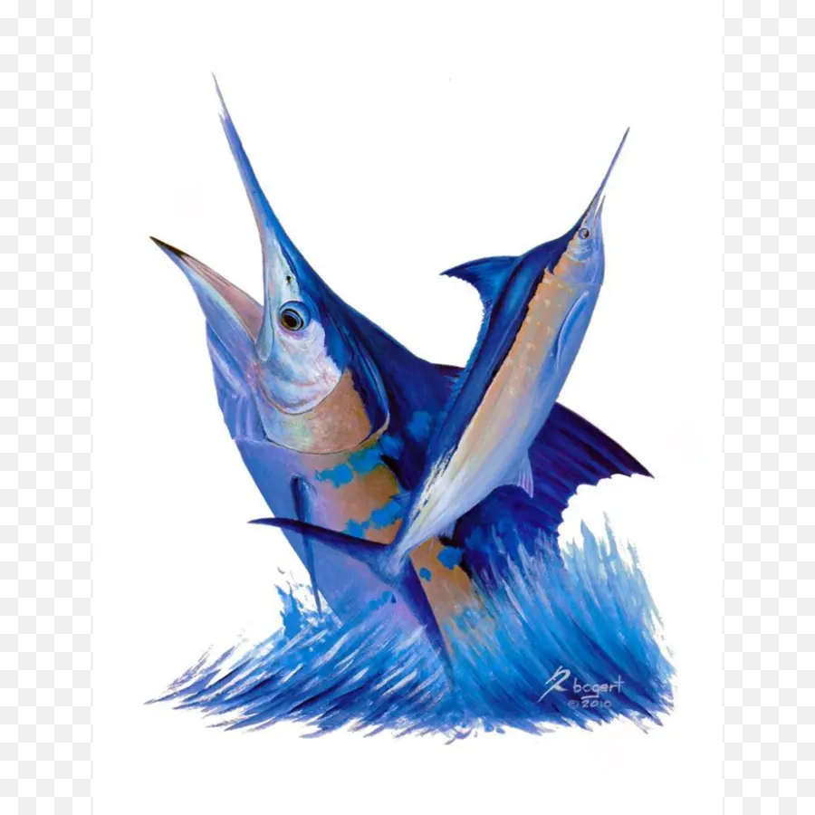 Ikan Marlin Biru，Laut PNG