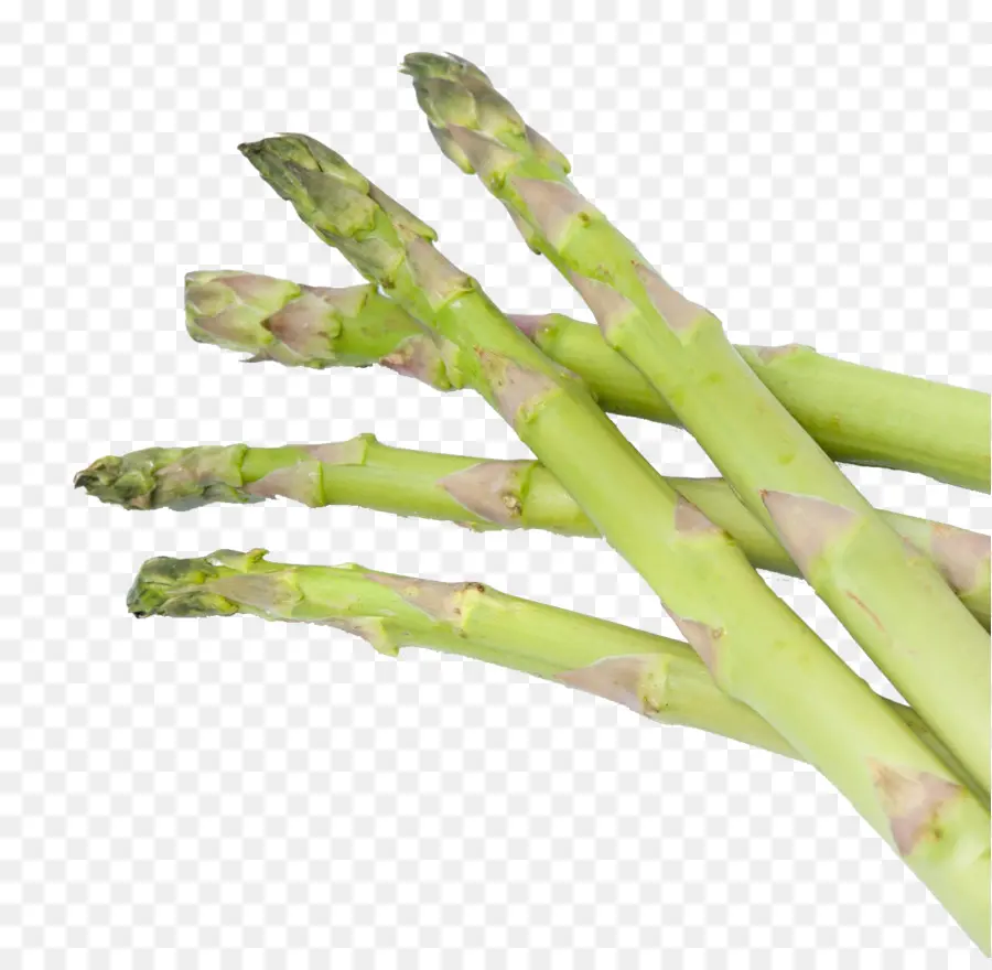 Asparagus，Hijau PNG