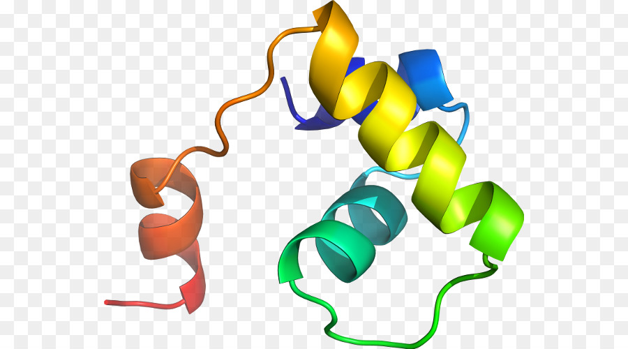 Struktur Protein，Molekul PNG