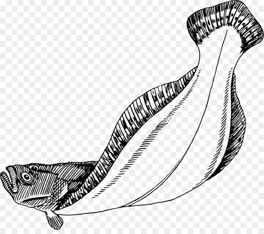 Ikan，Flatfish PNG