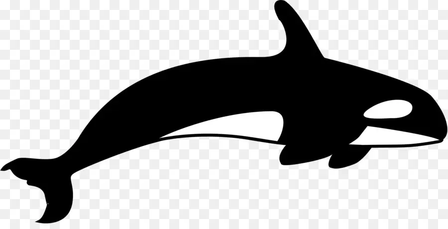 Orca，Paus PNG