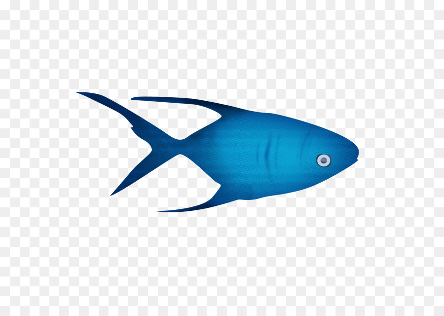 Ikan，Akuatik PNG