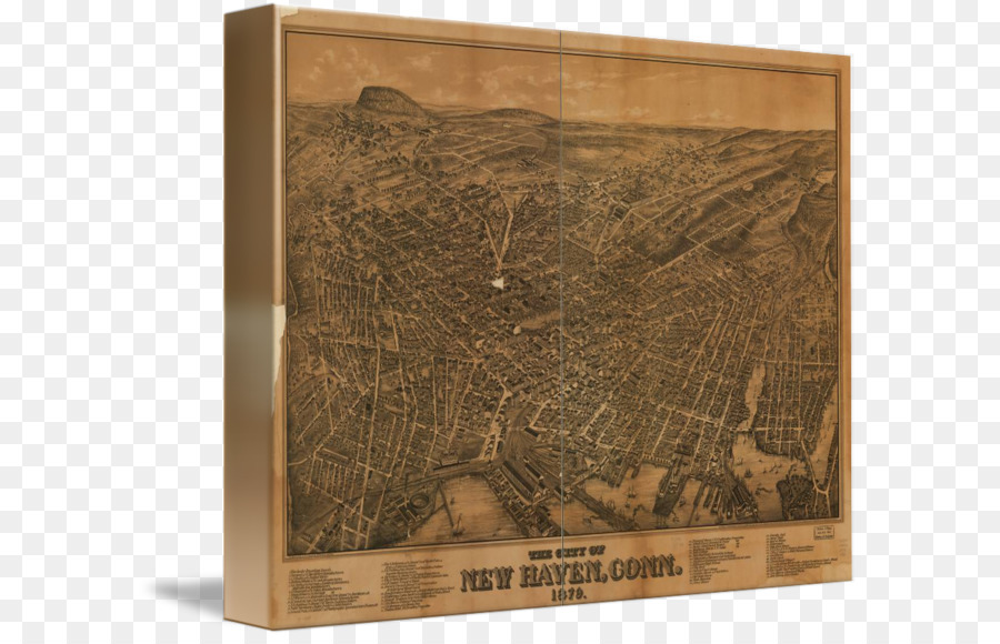 New Haven，Kayu PNG