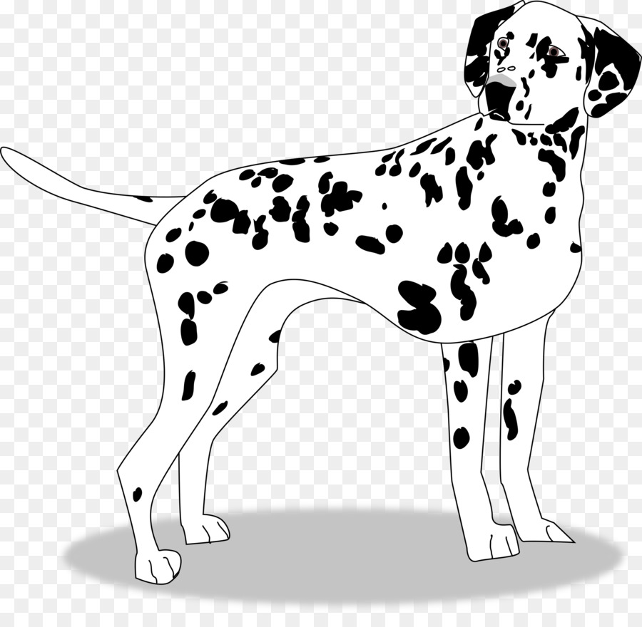 Dalmatian，Anjing PNG