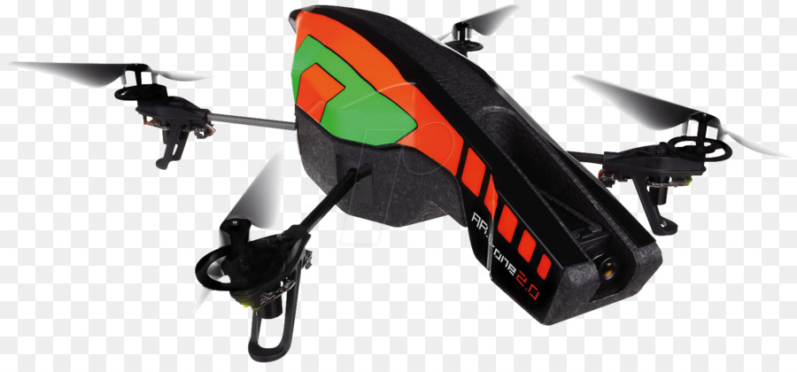 Burung Beo Ardrone，Burung Beo Bebop Dengung PNG