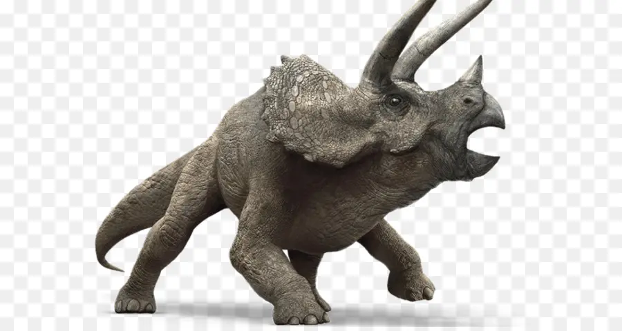 Triceratops，Tyrannosaurus PNG