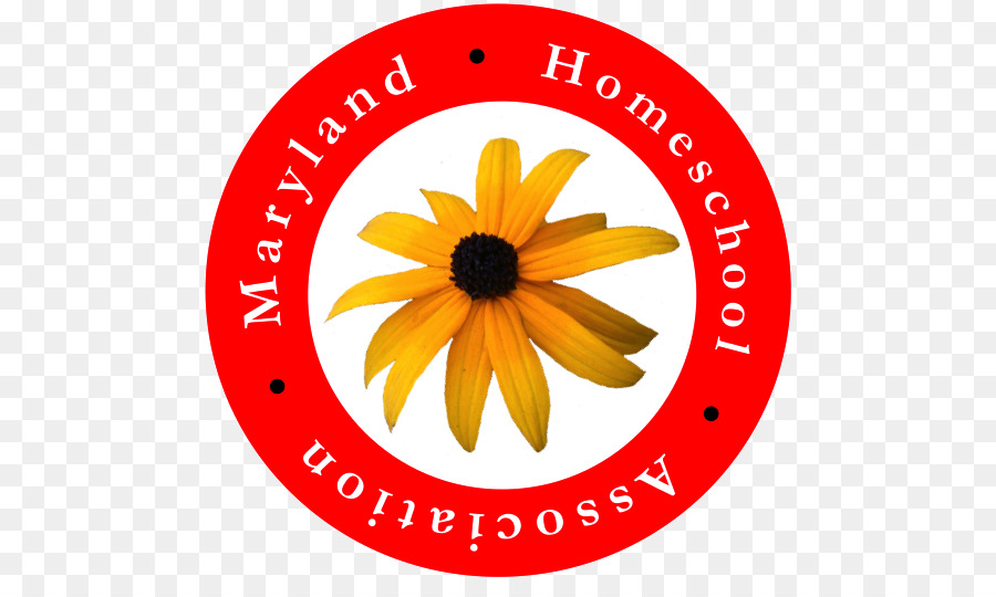 Maryland，Homeschooling PNG