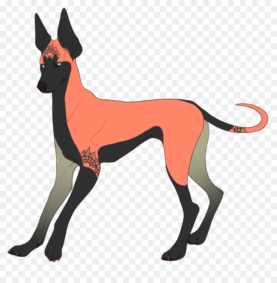 Anjing Berkembang Biak，Greyhound Italia PNG