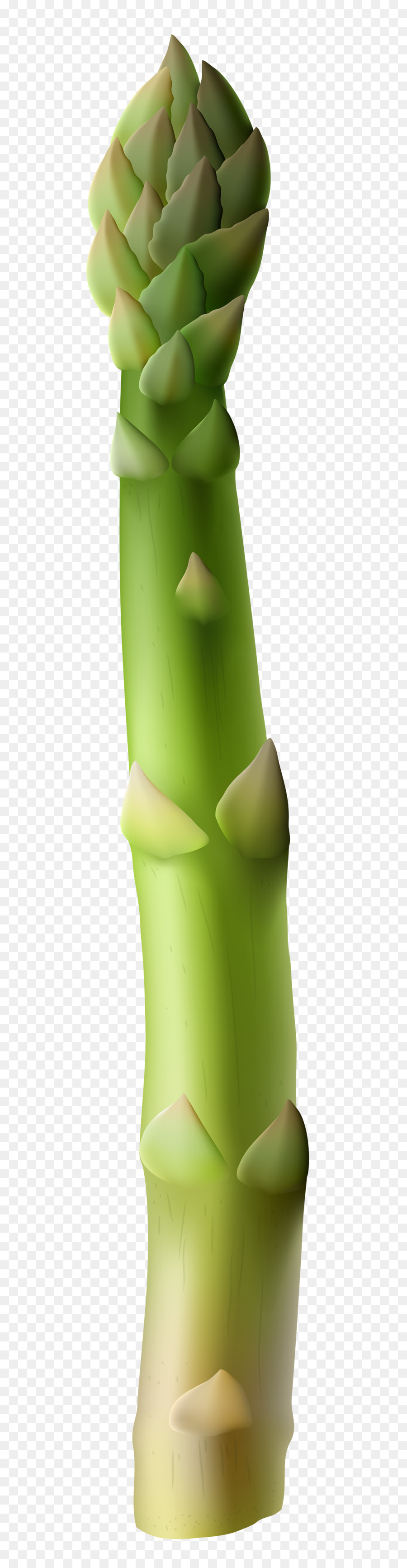 Asparagus，Quiche PNG