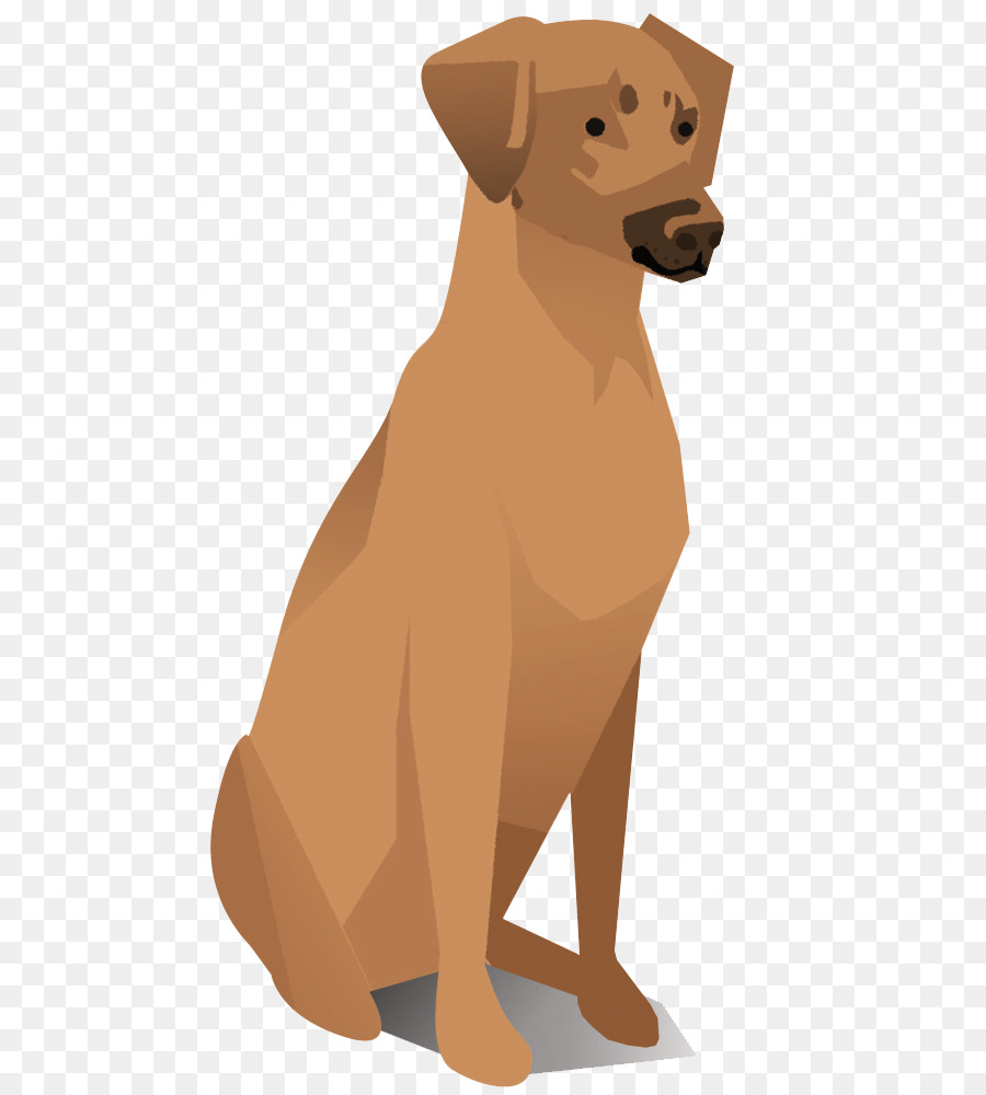 Rhodesian Ridgeback，Retriever PNG