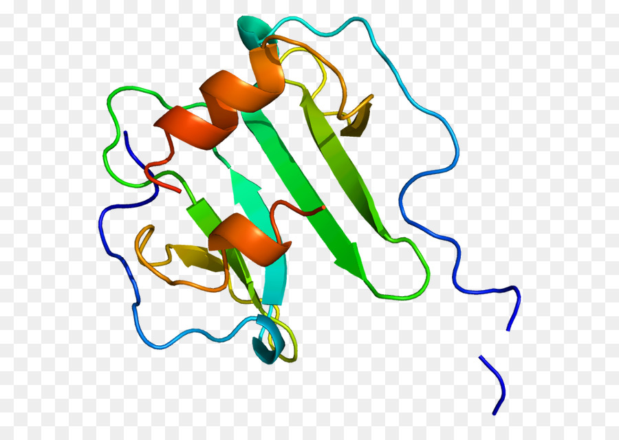 Stroma Cellderived Faktor 1，Kemokin PNG
