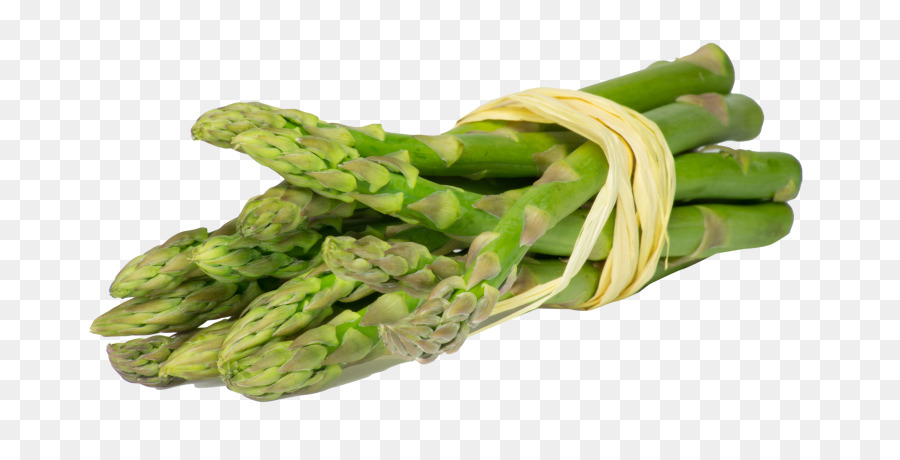 Asparagus，Hijau PNG