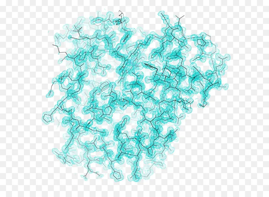 Struktur Protein，Molekul PNG